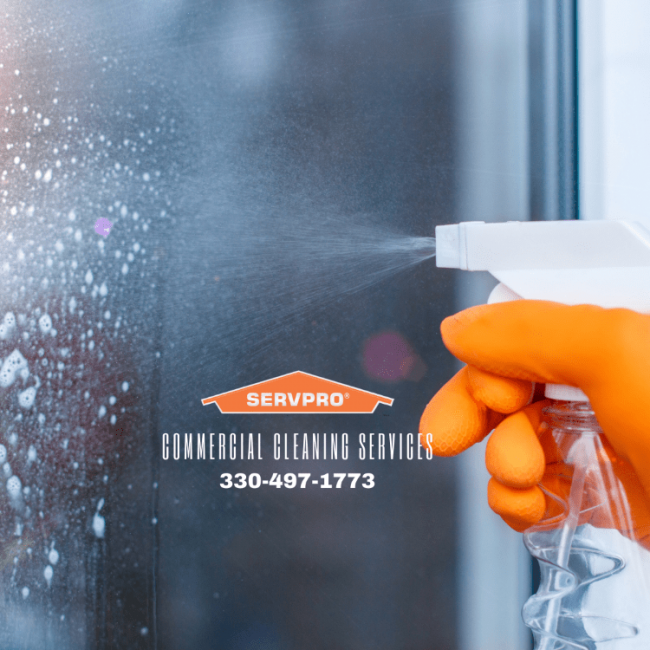 image0 (8) Window Cleaning